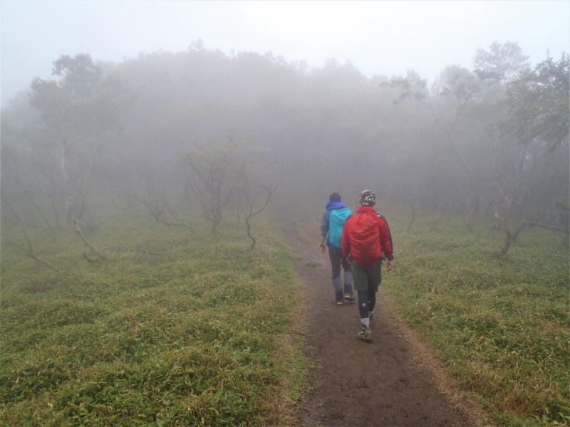 霧の風景も美しい。
