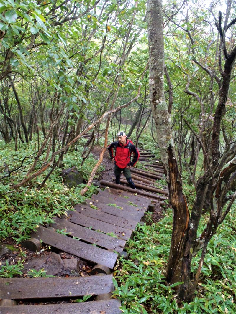 また登り!?　もうっ！（私が思いました・・・笑）