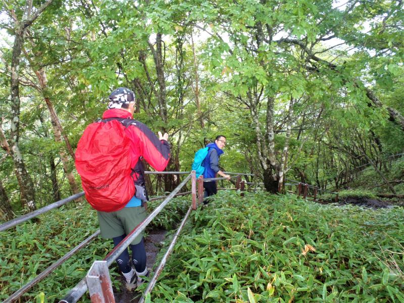 階段を一気に下りて下山です。お疲れ様でした。