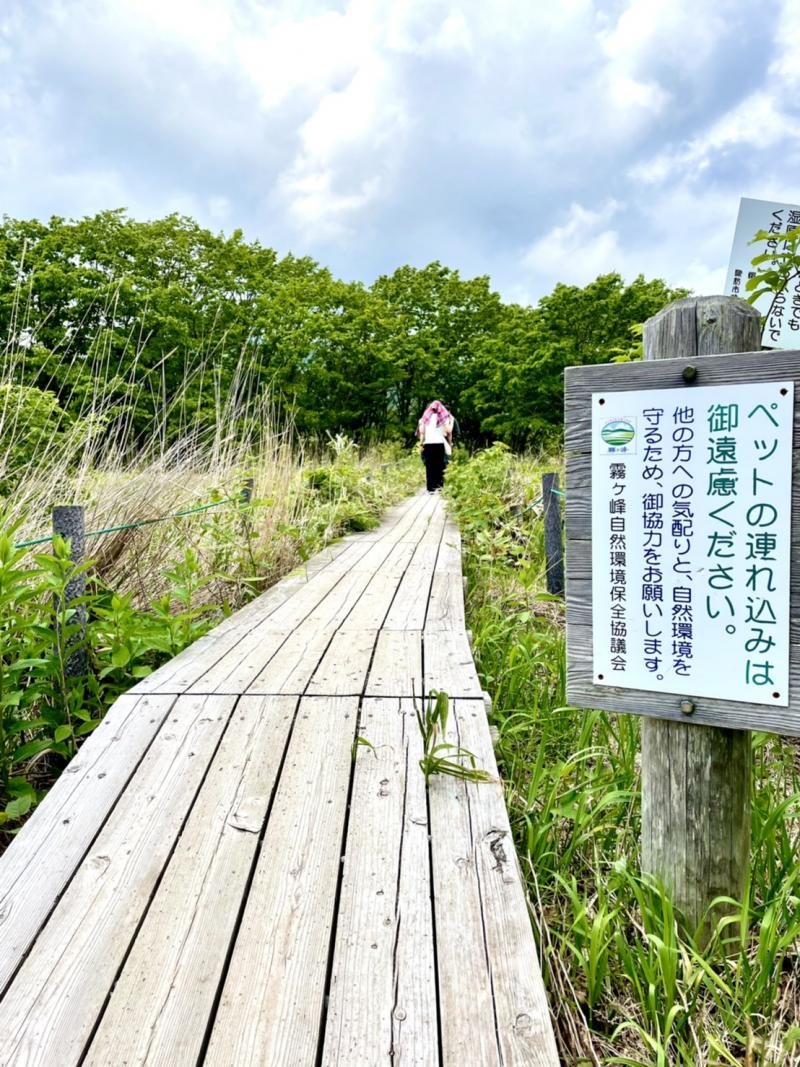 陽が射して暑くなってきました。