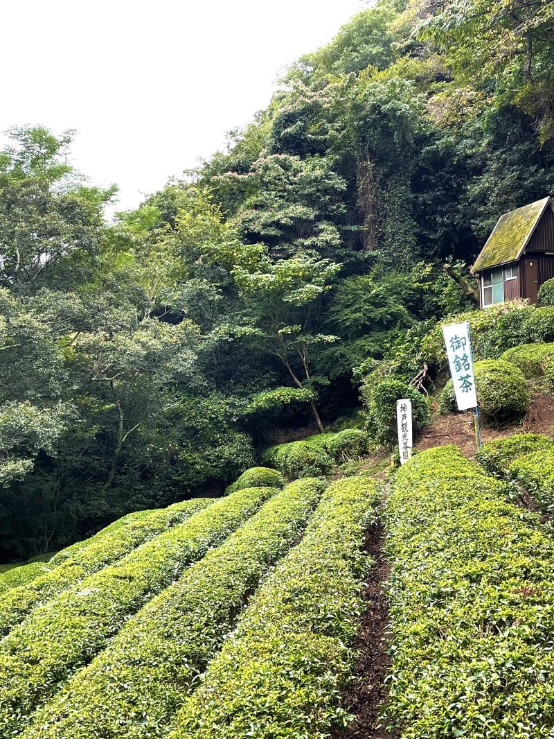 静香園