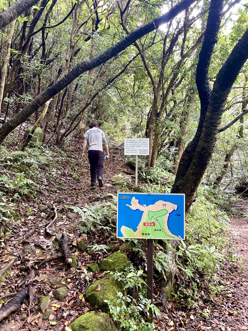 分岐で間違えて、メンバーとはぐれました。展望台へ向かってしまいました。