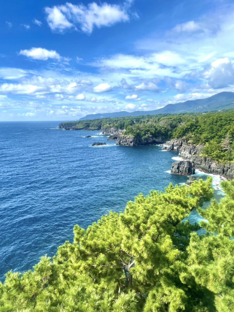 灯台から見た城ヶ崎海岸 灯台から見た城ヶ崎海岸