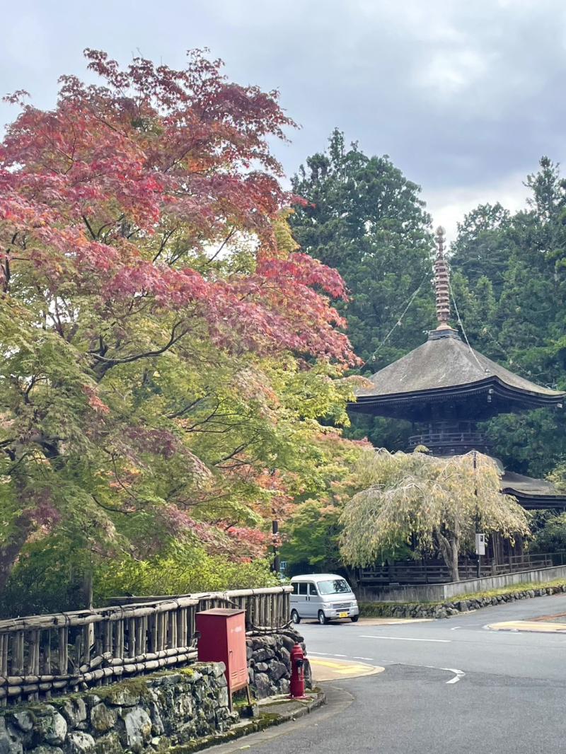 金剛峯寺へ向かう途中に紅葉発見！
