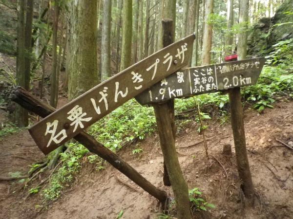 実谷のふたまたの標識。記載されていませんが右に行くと、かめ岩経由で大蔵山で、まっすぐ行くと急傾斜経由で伊豆ヶ岳です。