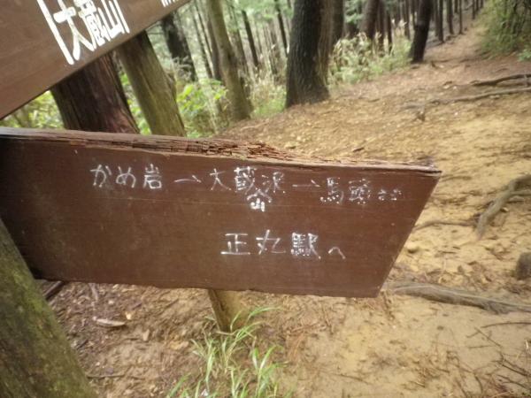 大蔵山の標識。右がかめ岩経由で下山。まっすぐ行くと正丸峠です。