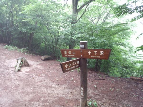 この分岐から景信山まで15分