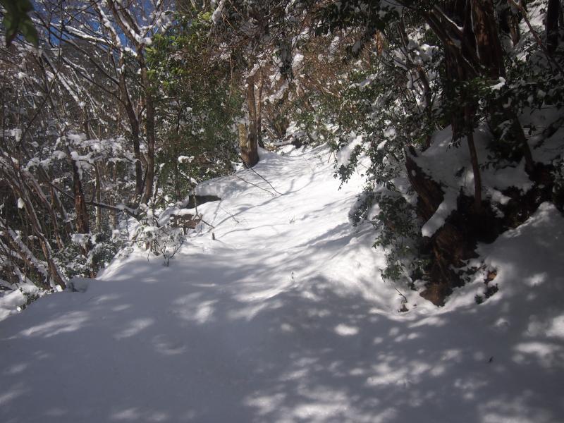 舗装道路が終わり、登山道らしくなってきました。日差しはあるし、雪は深いし、ここまでで結構汗かきました。