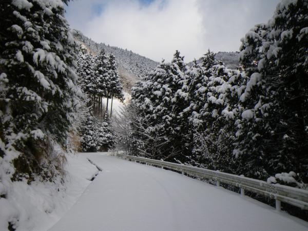 西ノ山林道