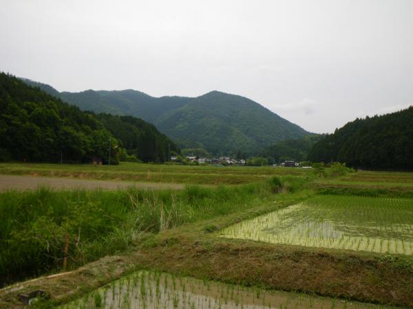 篠山側から見る弥十郎ヶ岳