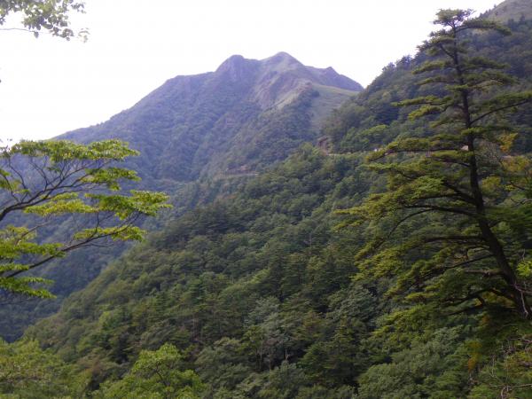 瓶ヶ森林道から見た伊予富士