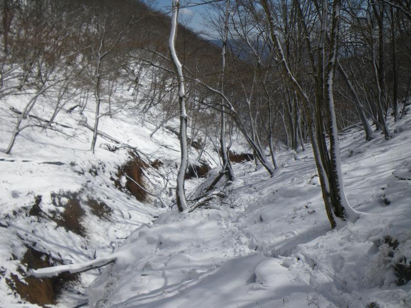 坂本谷は雪で埋まっていました
