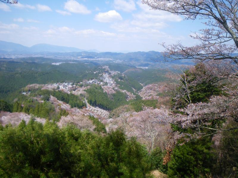 花矢倉展望所からの吉野山全景