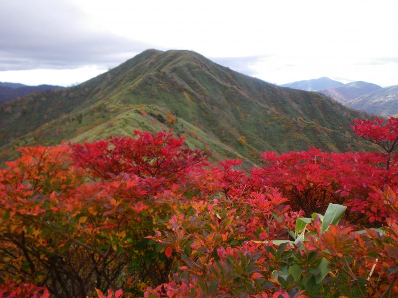 紅葉と銚子ヶ峰
