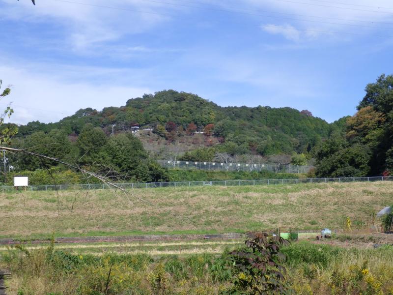 美濃金山城跡