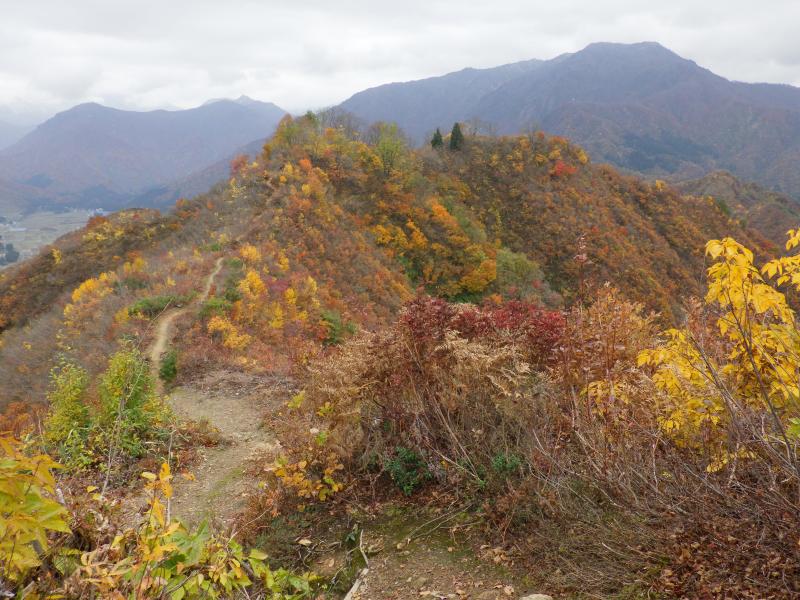 坂戸山から小城・大城の紅葉街道