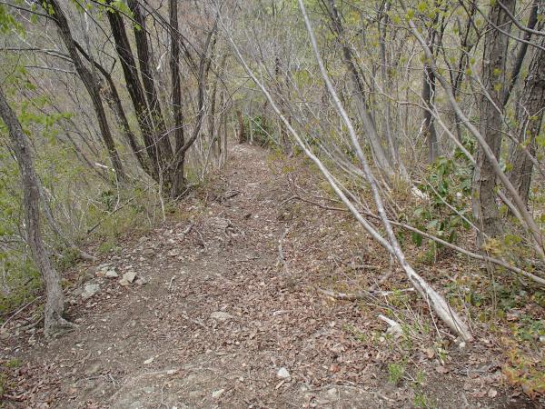 急な下りが続く