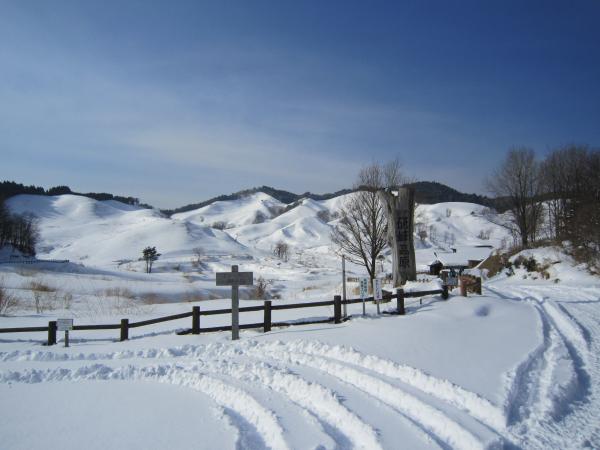 秋には一面ススキの創元になります