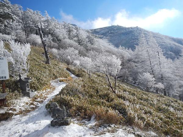 初冠雪と樹氷の剣山