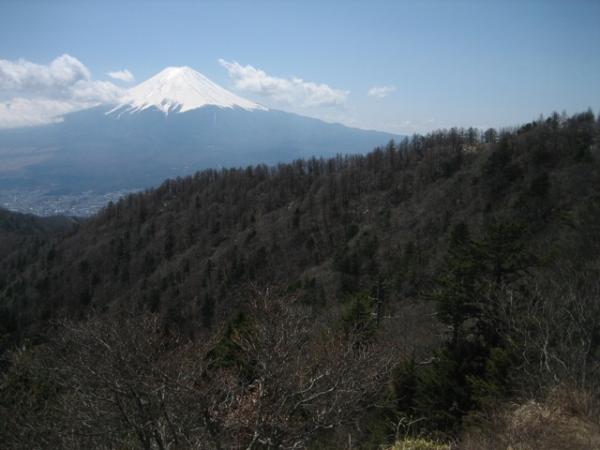秀峰　富士を眺める山