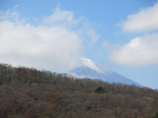 仰ぎ見れば富士山