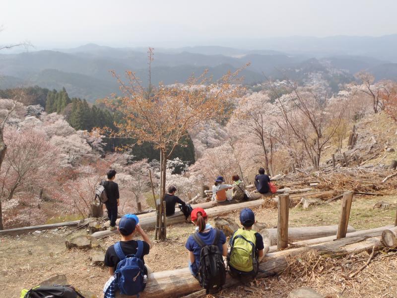 親子で山に登りたい！　世界遺産・桜の名所☆吉野山へ♪