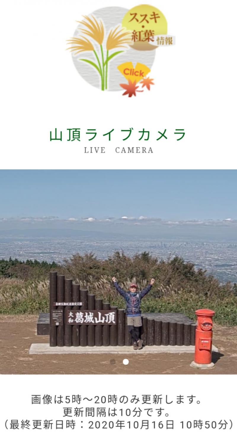 山上は一面のススキ 絶景の大和葛城山 大阪府千早赤阪村 奈良県御所市 登山レポート 登山用品 アウトドア用品の専門店 好日山荘