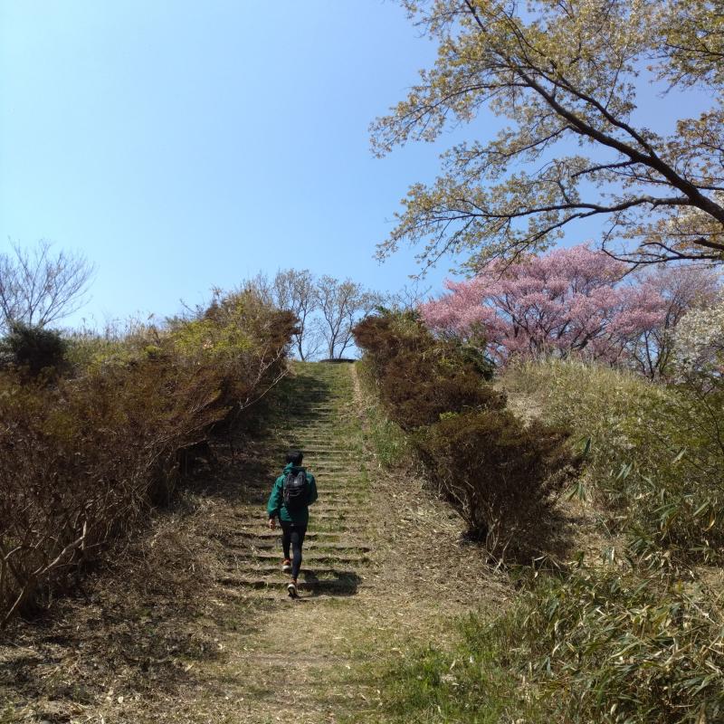 親子で山に登りたい！ 春休み☆大桜を求めてぼくらの広場へ♪ in 生駒山