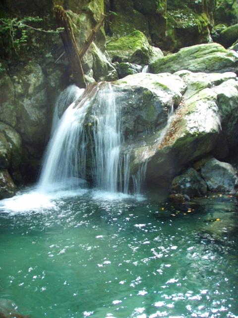 青く輝くコバルトブルーの淵