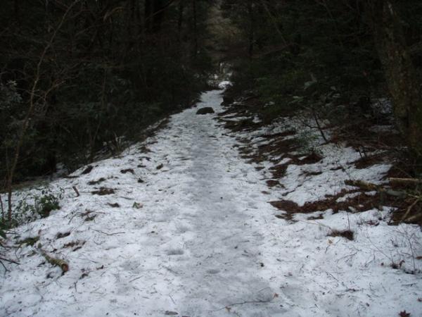 氷結した登山道