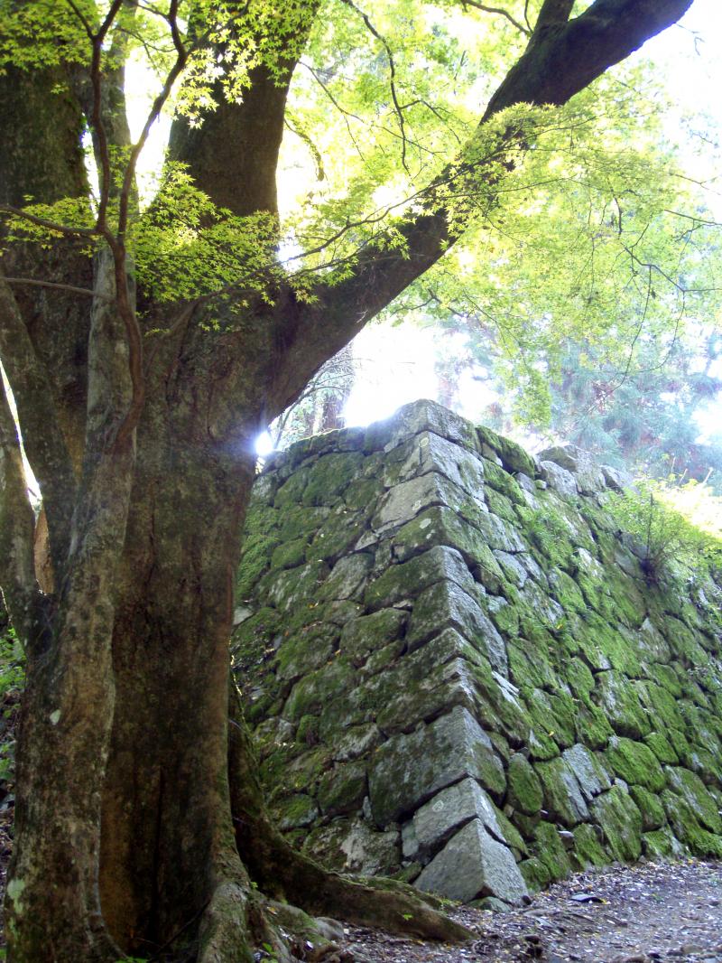 高取城の石垣