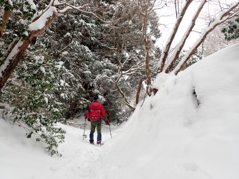 雪の地蔵山へ
