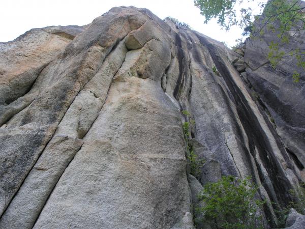 通りすがりの岩。というか壁。帰りに登ってる人がいました。