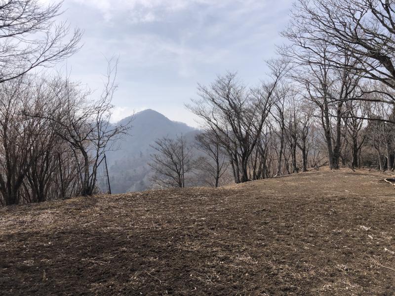 本日のハイライト。善六山からの景色。