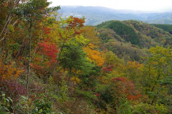 紅葉の始まり