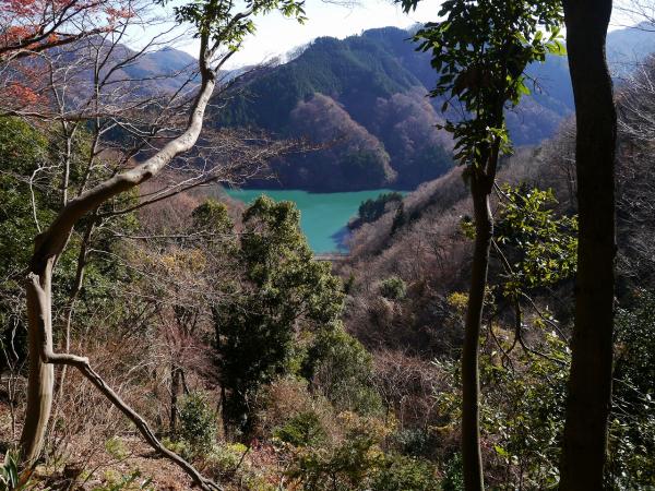 時折見える宮ケ瀬湖が美しい