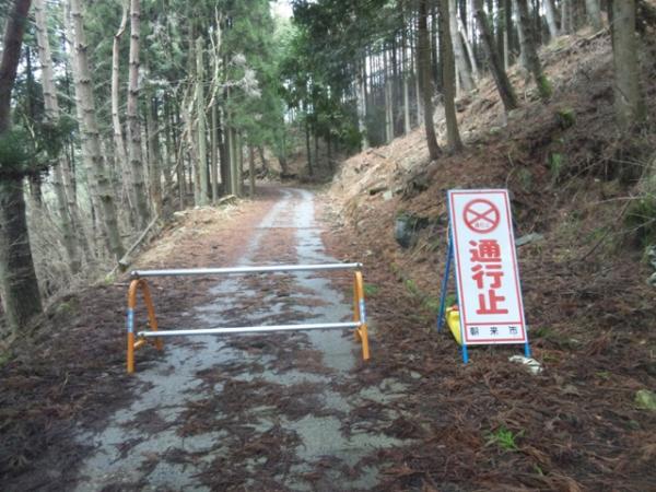 このゲートからスタート。