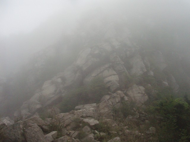 登山道へ出て鎌ヶ岳へ。ガスが出て頂上直下の岩場は高山の趣き。