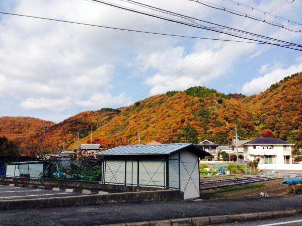 出発地　見えてる山に登ります