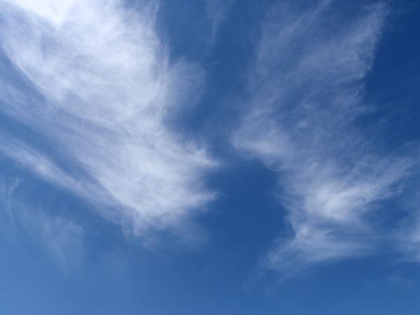 梅雨の晴れ間のくじゅうへやってきました。