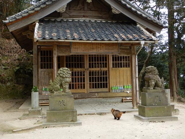 途中の神社には、大きな猫がいました。
