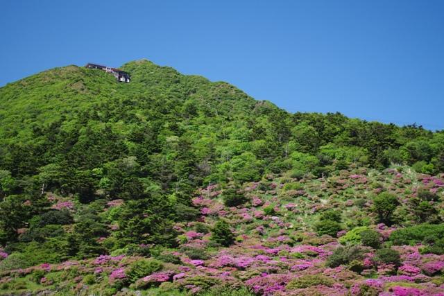 この時期、ミヤマキリシマで登山者だけでなく、観光客でも賑わう仁田峠から出発です。