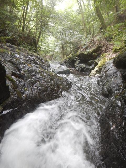 沢登へ。七重の滝コースを行きます。