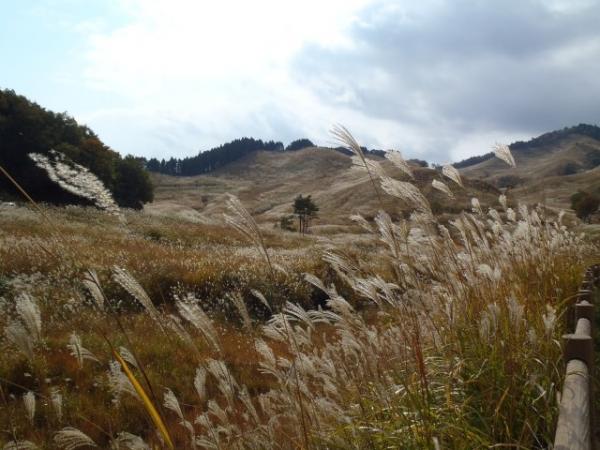 今年もやってきました