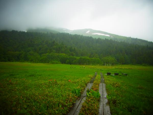 木道から先に至仏山。