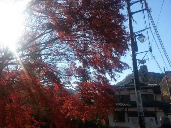 高尾山口駅付近はまだ紅葉が。