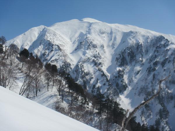 武能岳西尾根では終始右手に茂倉岳が望めます