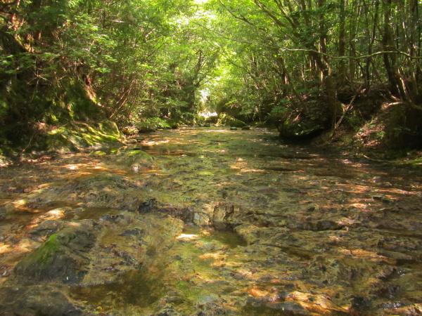 栃の木沢はナメの多い静かな渓です