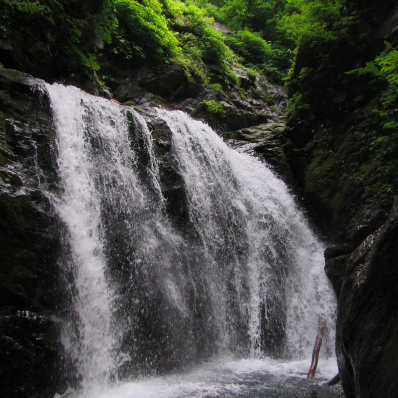 豆焼沢は奥秩父の名渓です