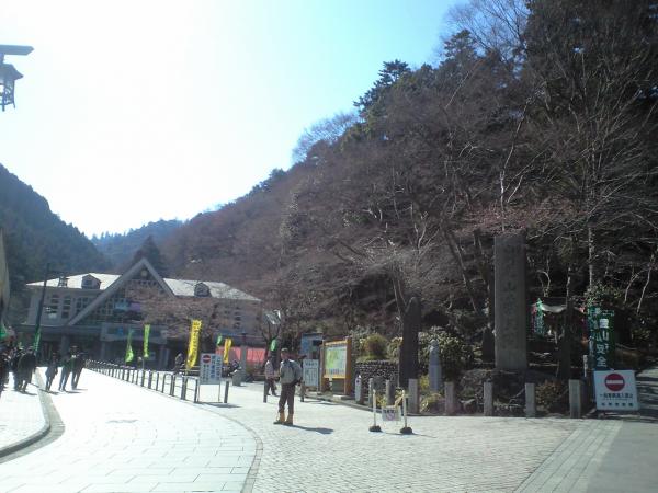 登山口、ケーブルの清滝駅。桜はまだまだ。
